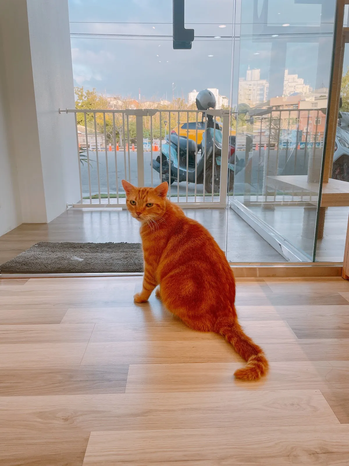 萌喜寵物美學館