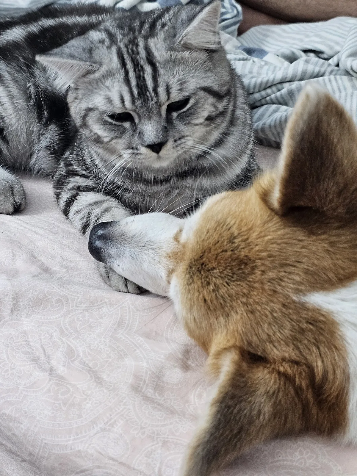 魔法森林企業社