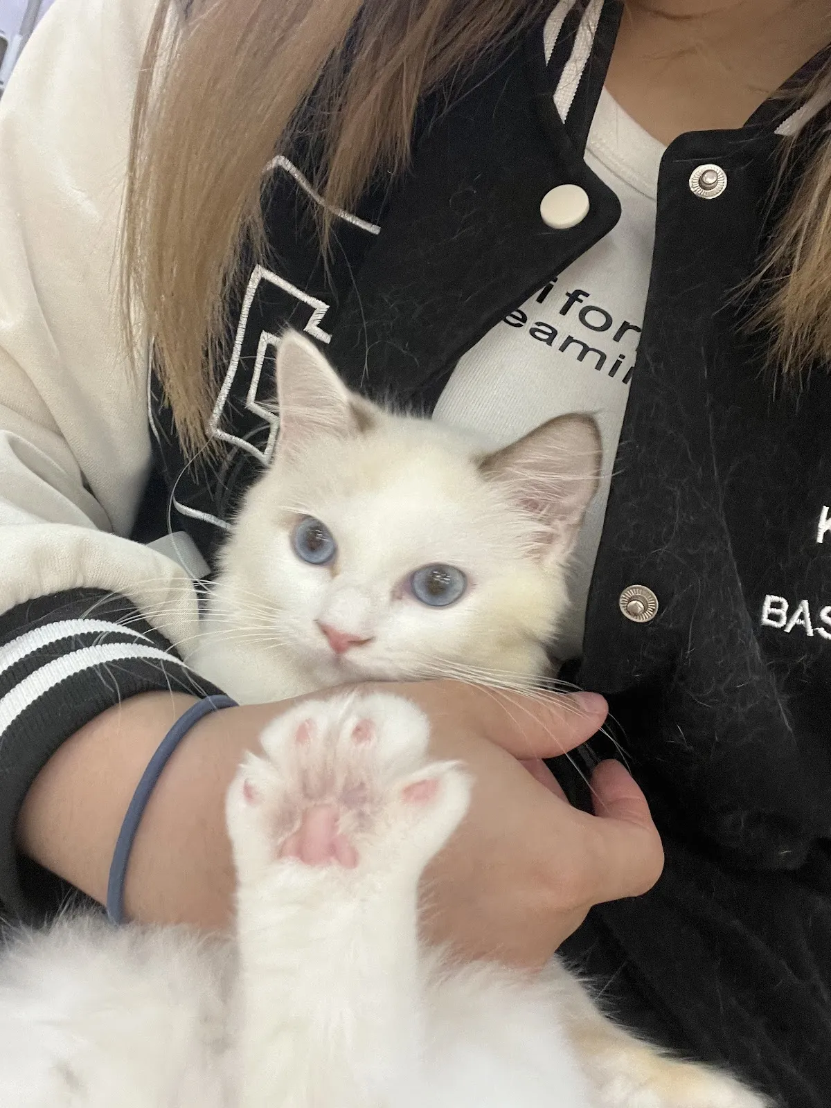 魔法森林企業社