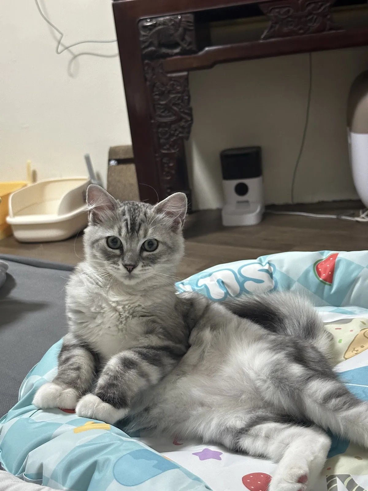 魔法森林企業社