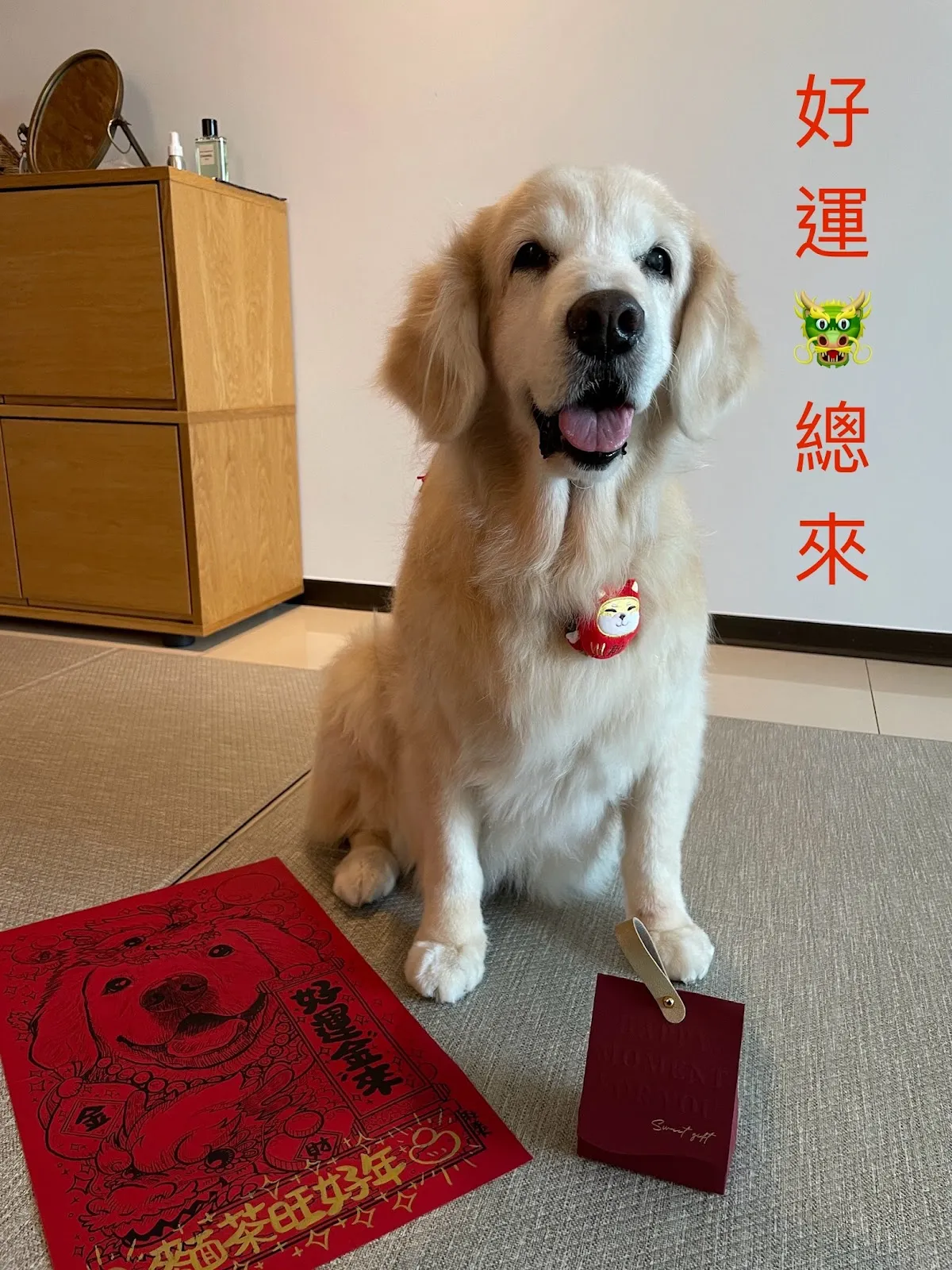 握握手寵物工坊