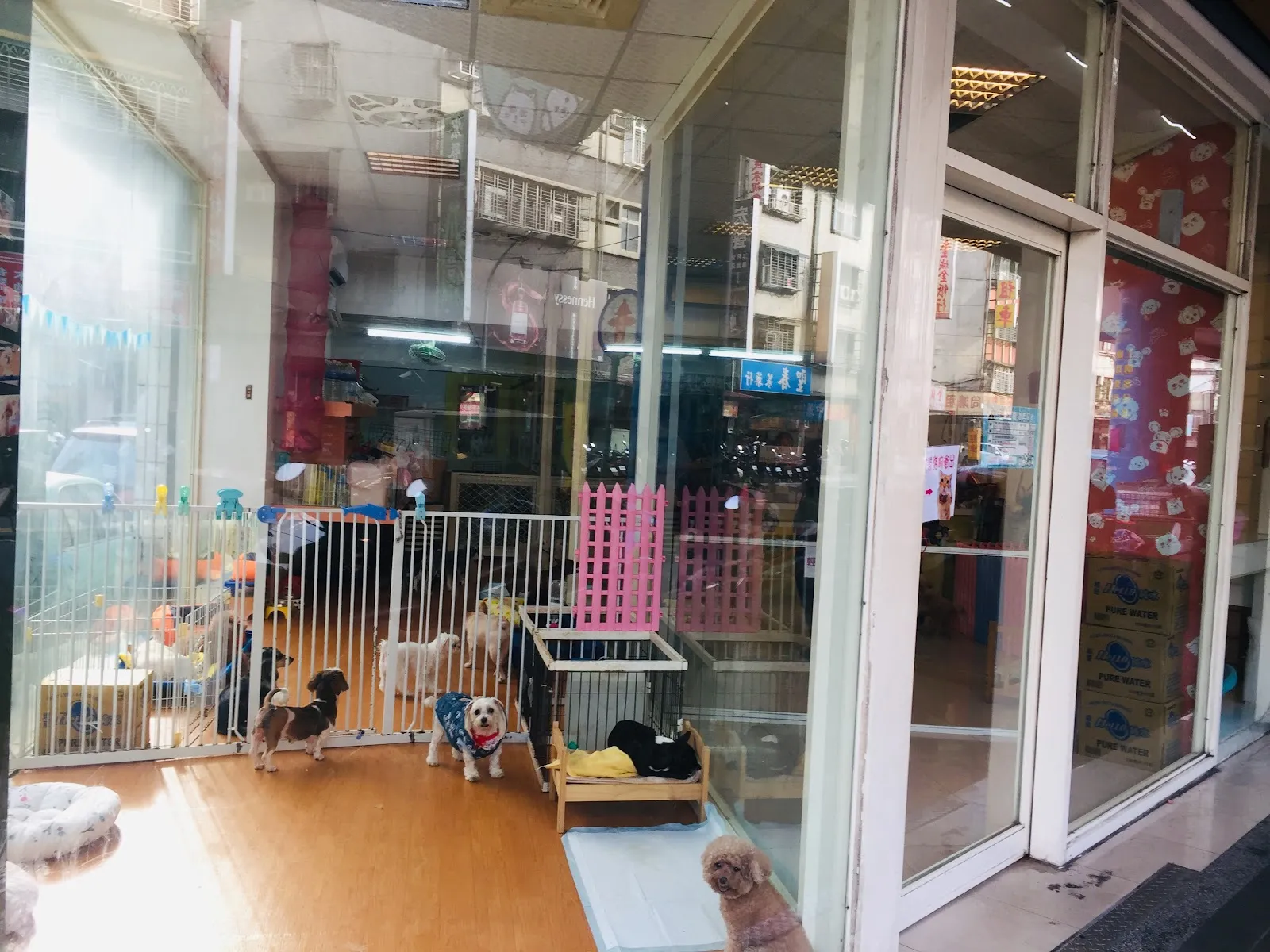 卡哇伊寵物旅館