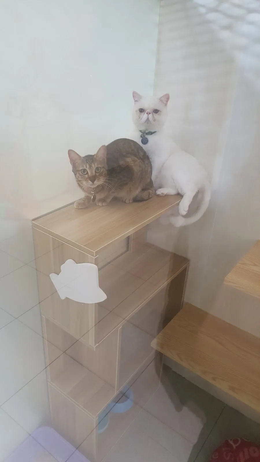 卡哇伊寵物旅館