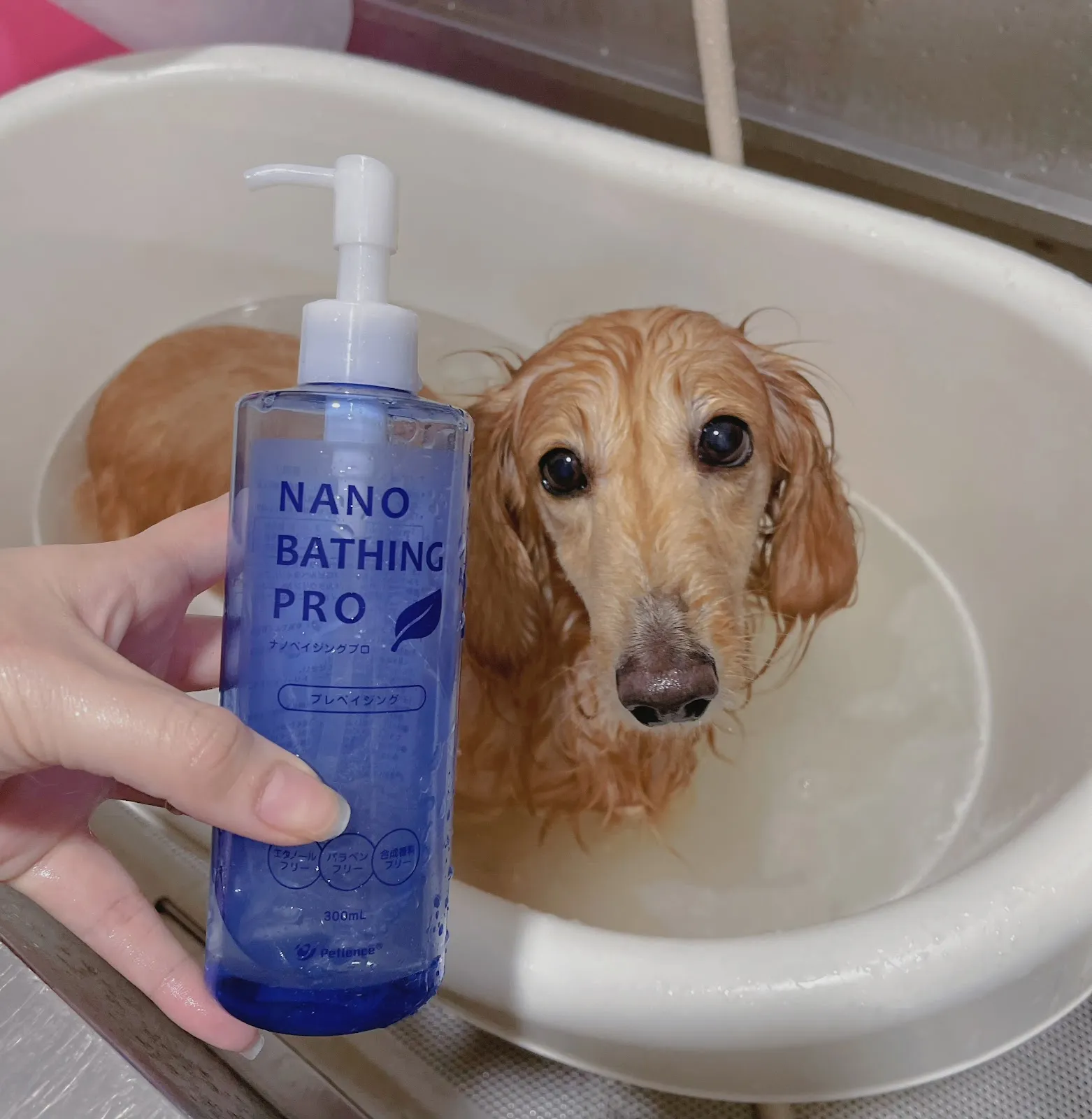 育慷寵物生活館