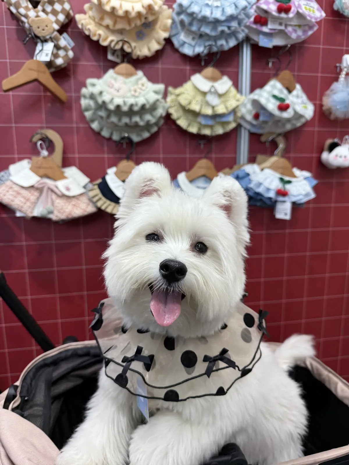 育慷寵物生活館