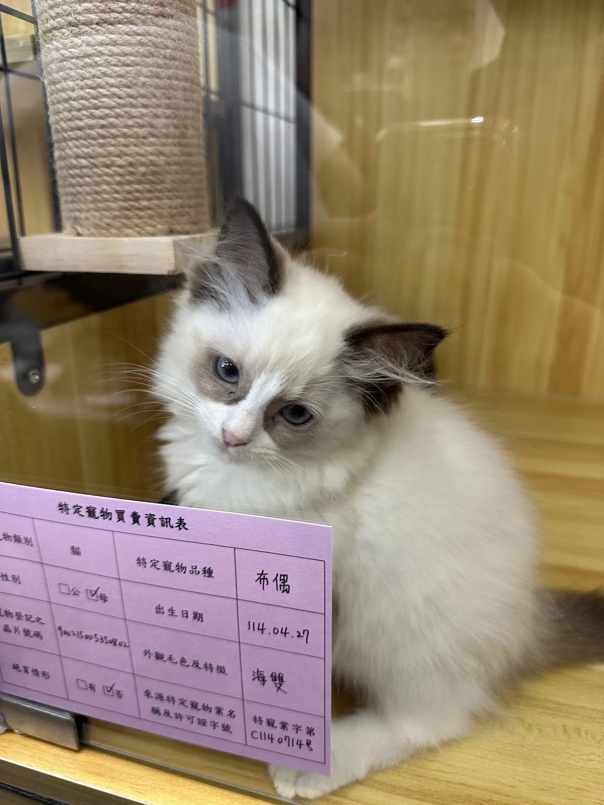 為了與你相遇貓舍