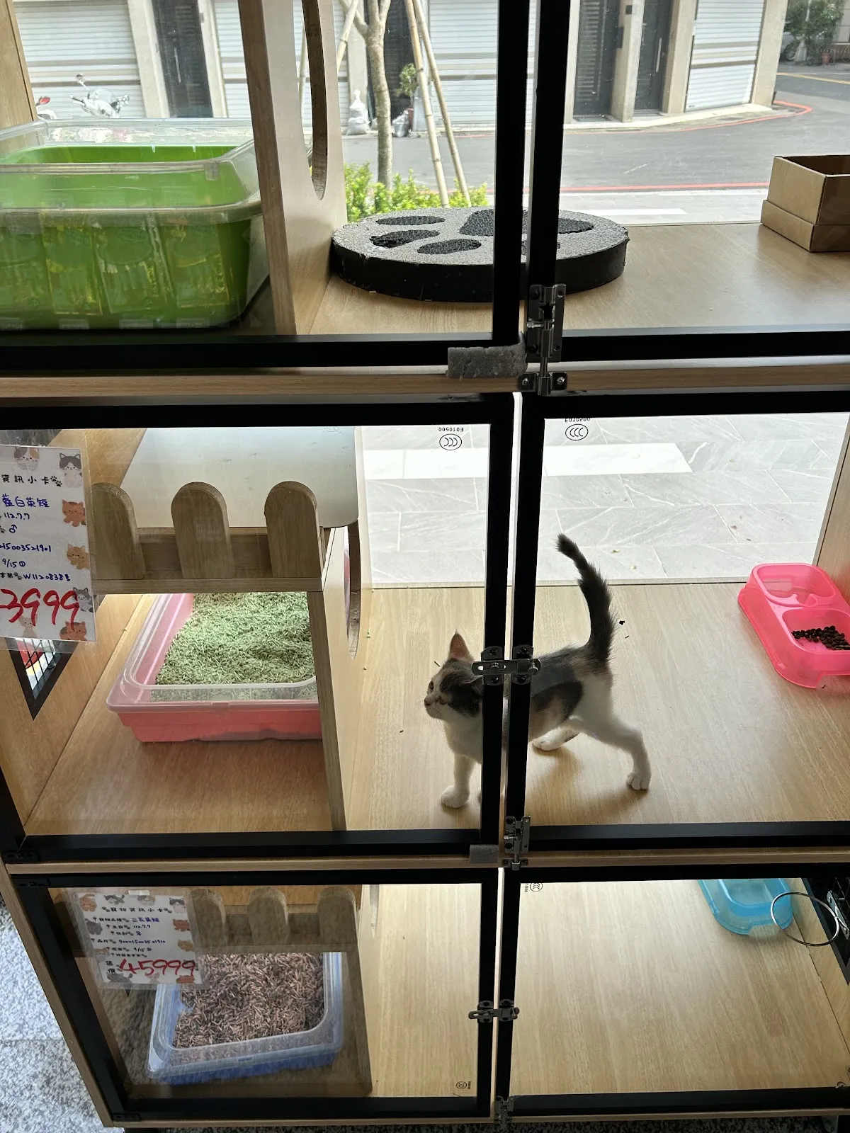 林緁寵物生活館