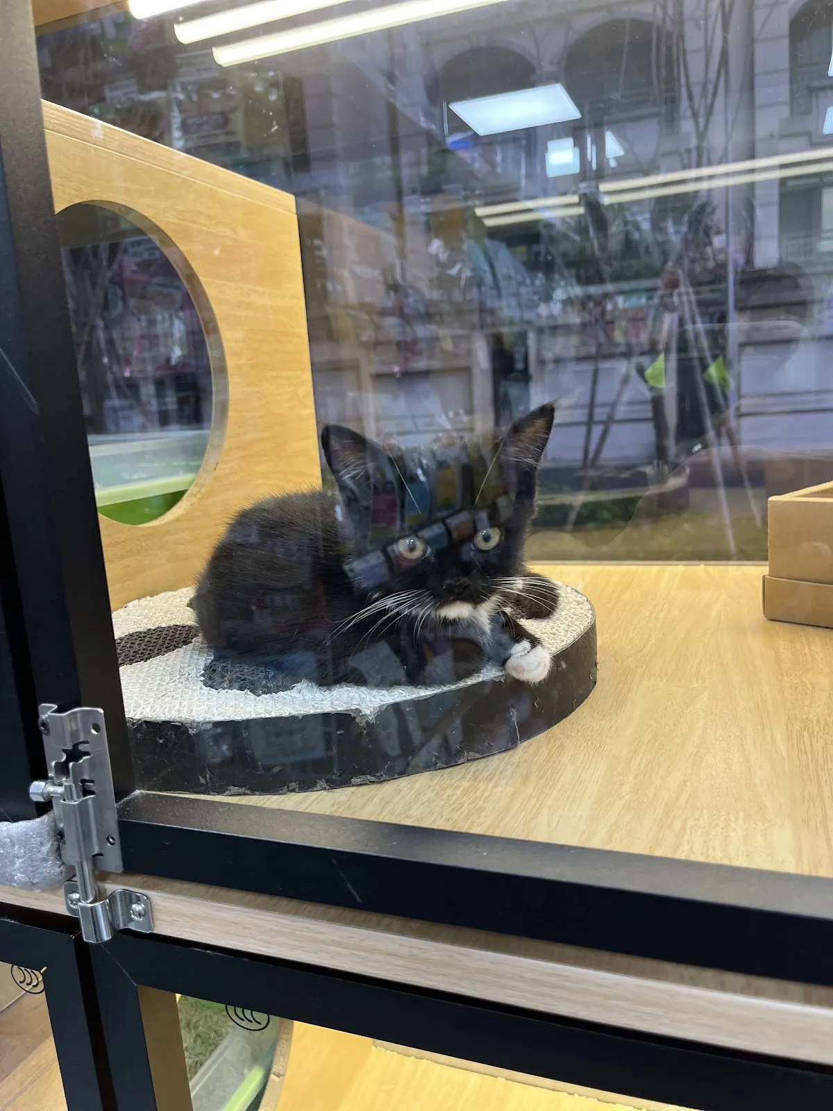 林緁寵物生活館