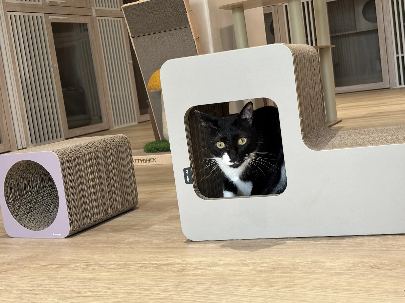 樓上遇見貓商行