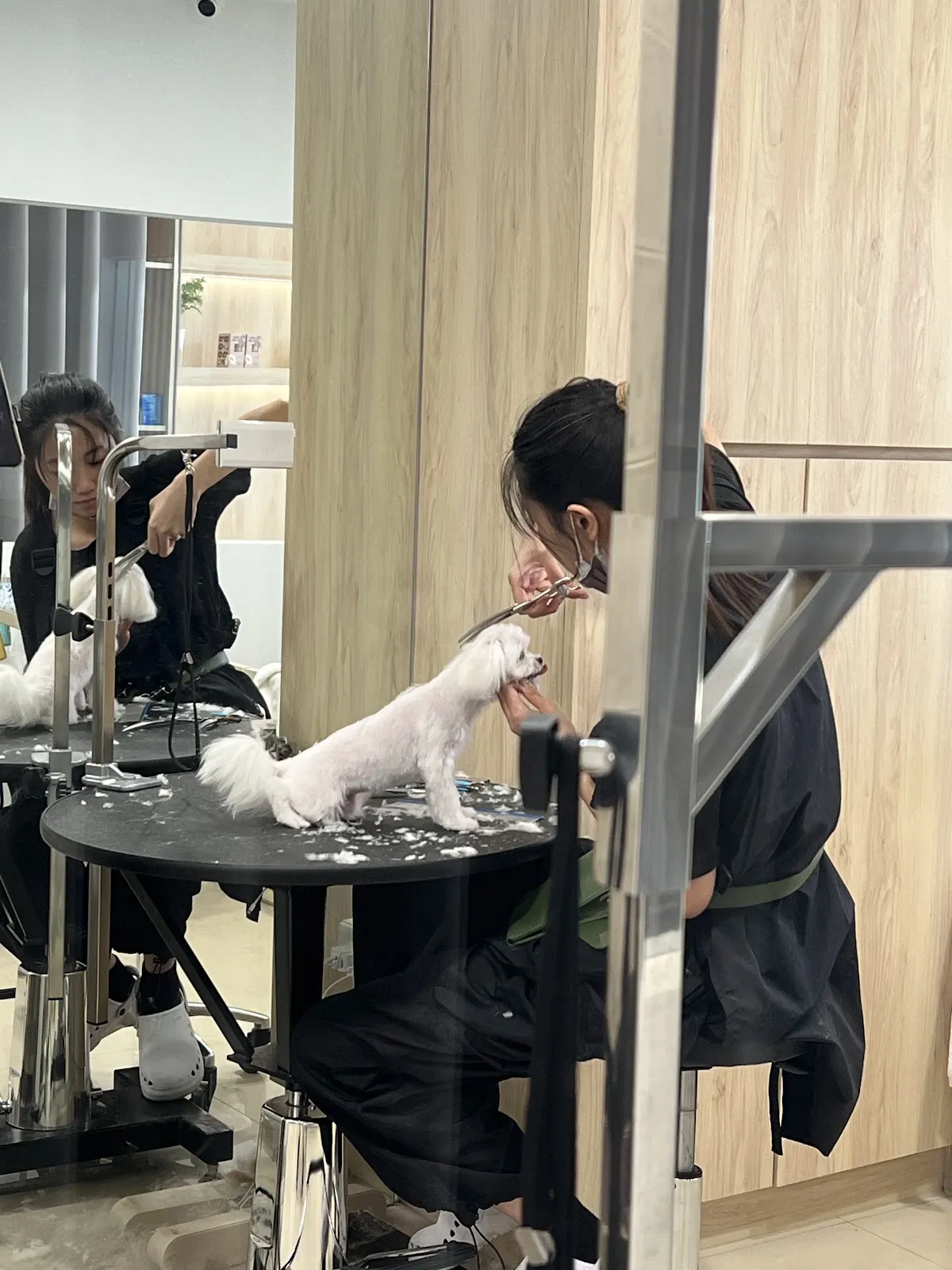 星特寵物生活館