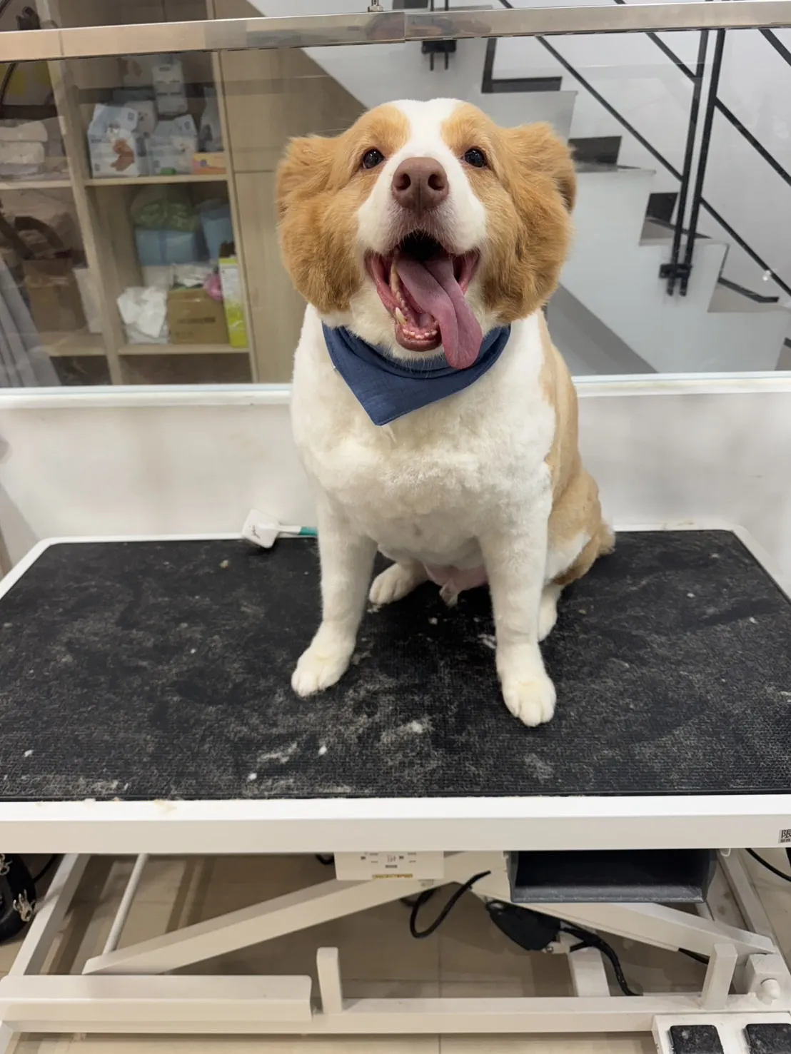 星特寵物生活館