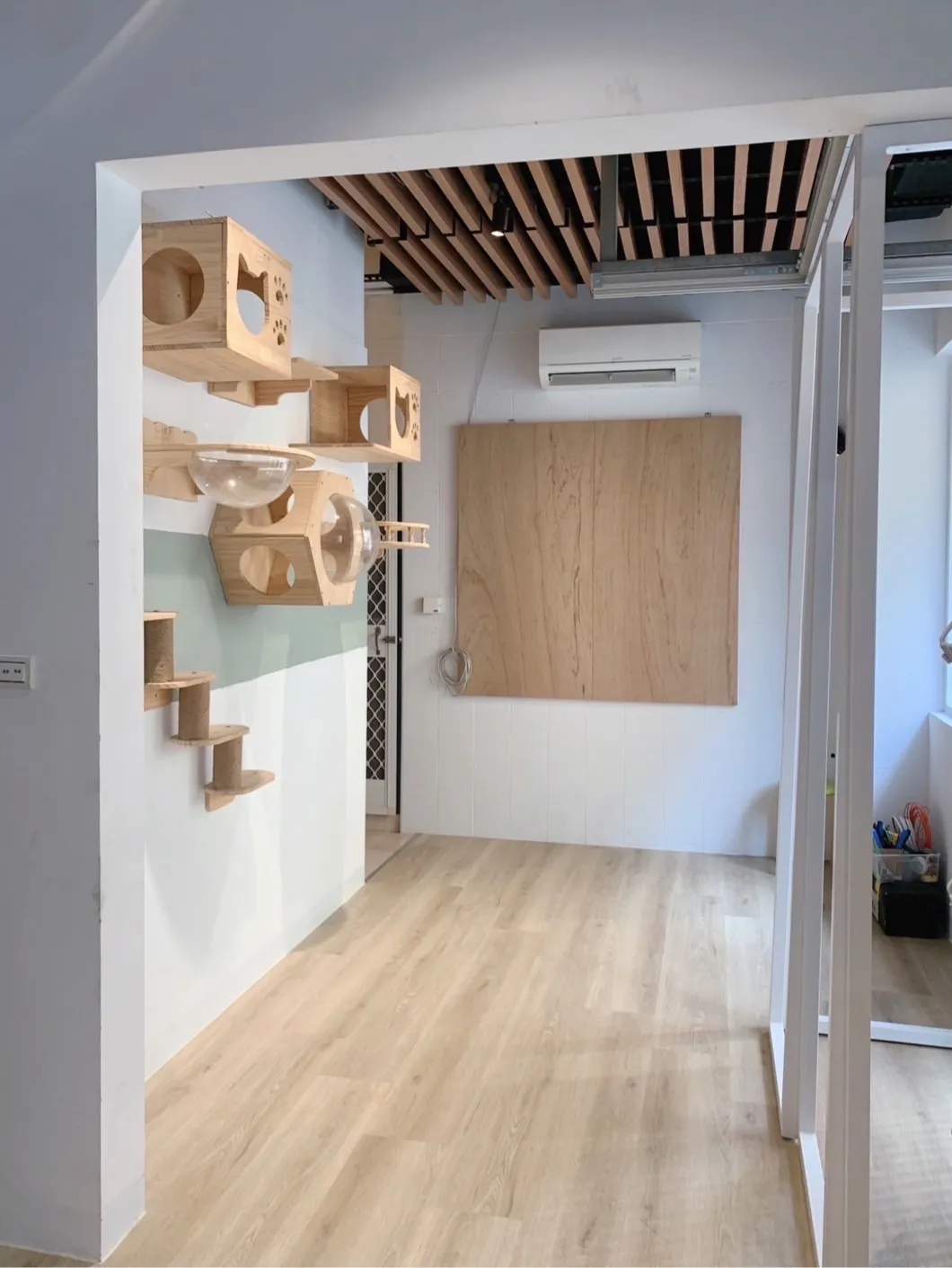 貓漾寵物生活館