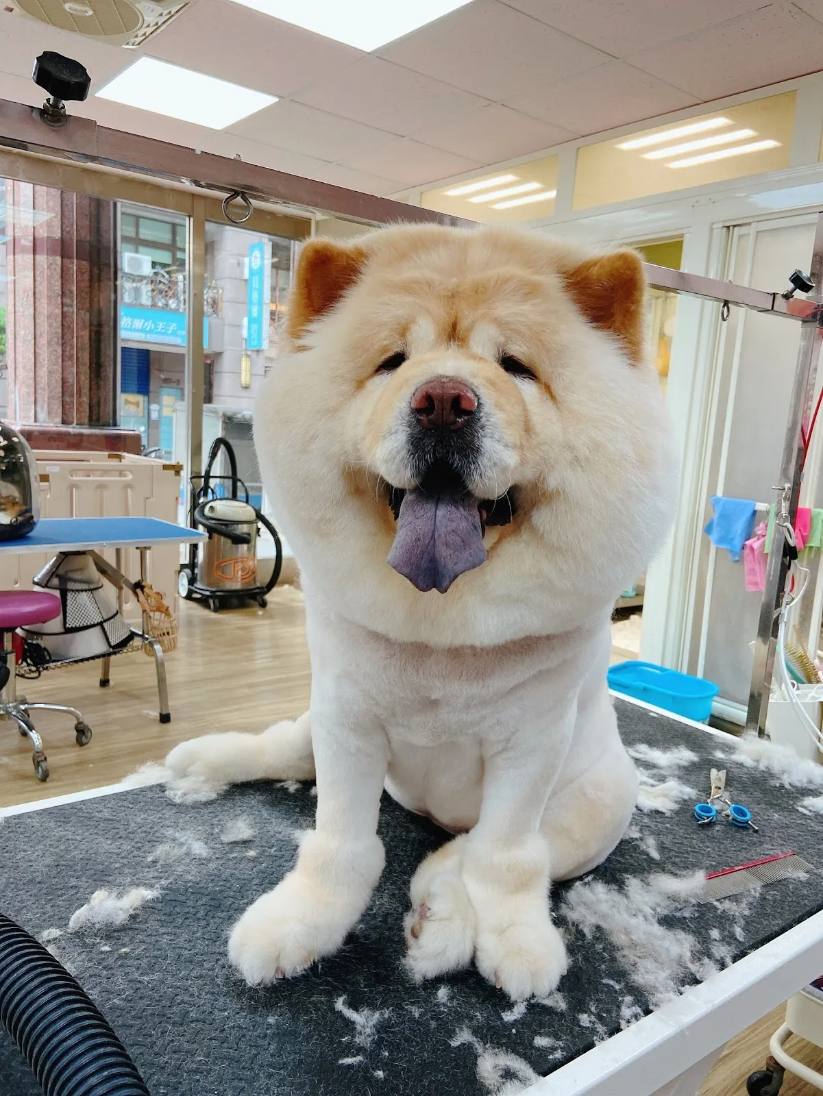 咘咘寵物生活坊