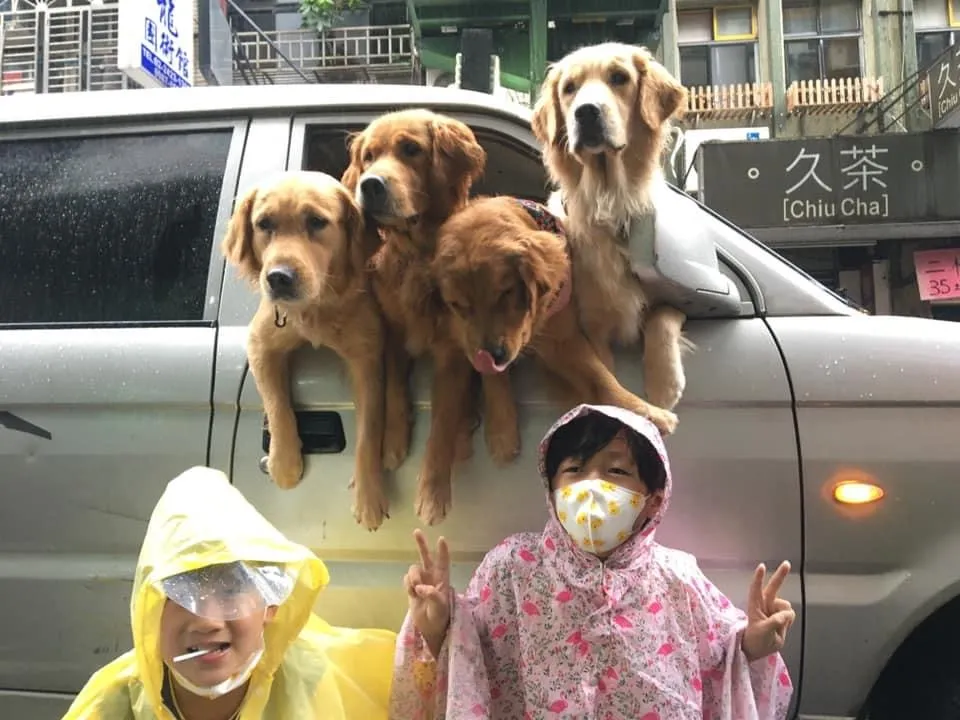 小寶貝寵物水族百貨店