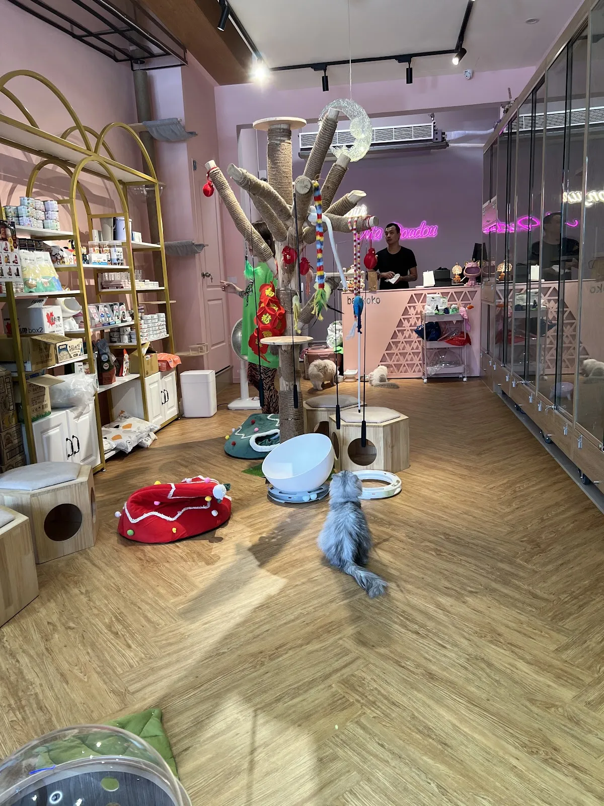 你好貓咪貓舍友善空間