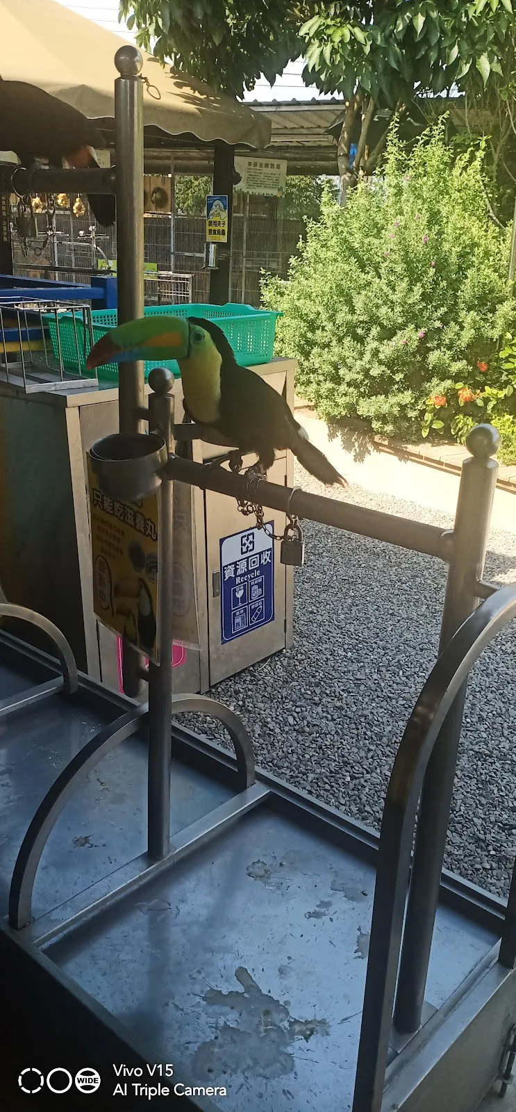 台灣皇爵專業犬貓舍