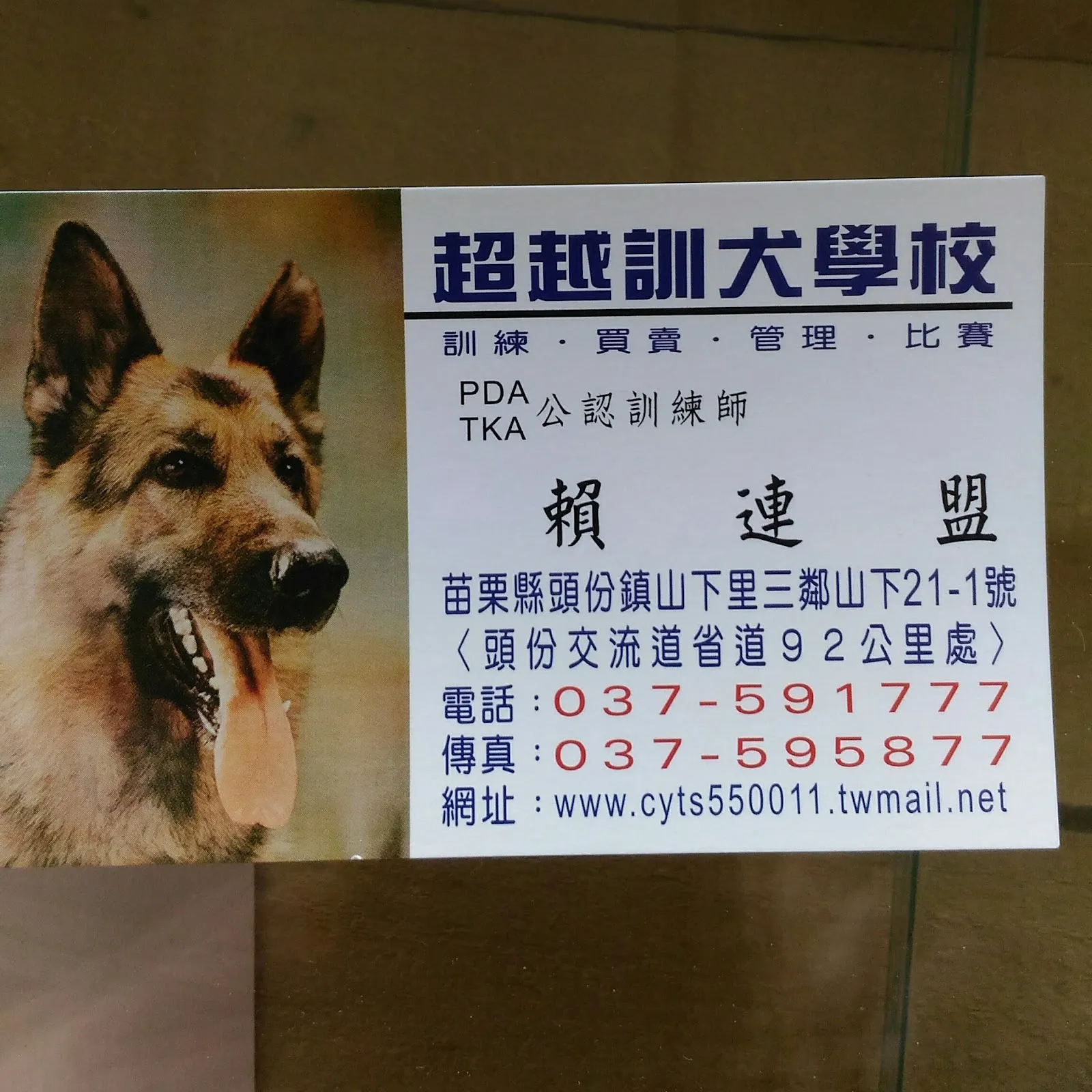 超越訓犬園地