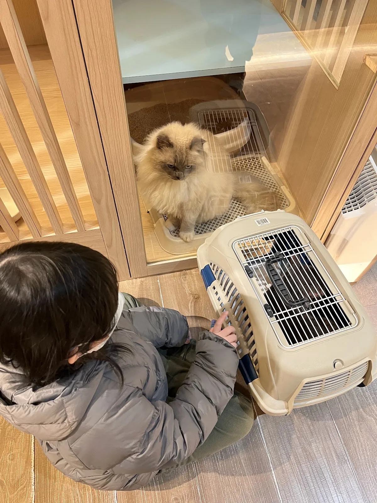 貓僕舍寵物商行