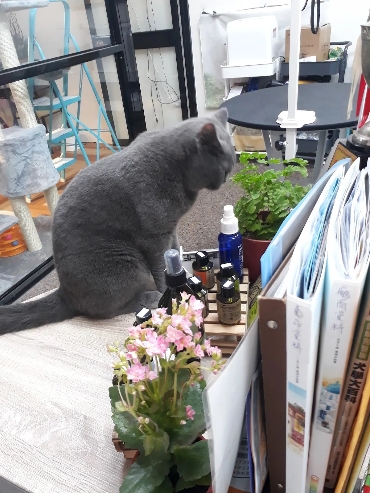 蘋果寵物美容館