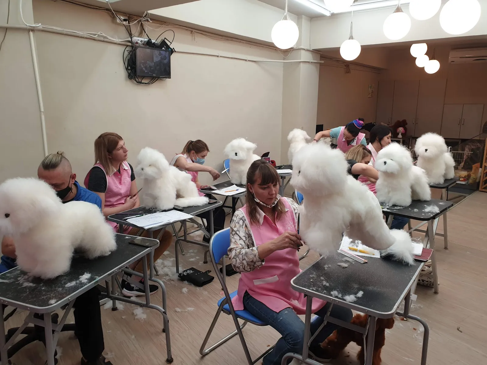 宜家宜犬寵物精品館