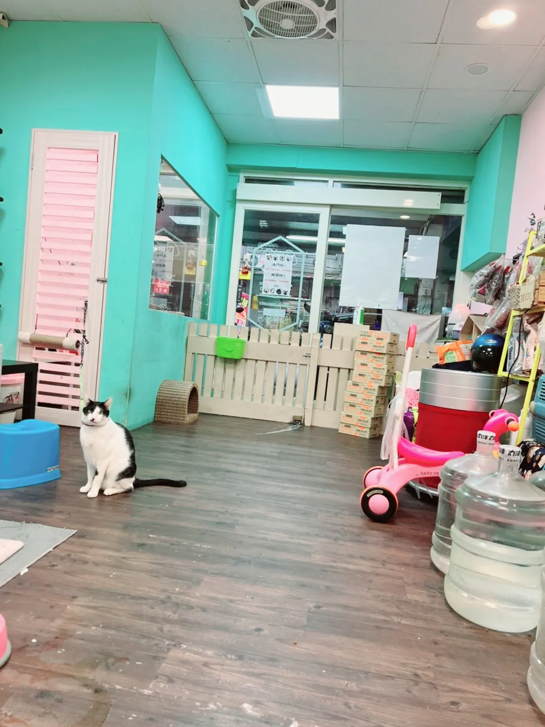 用心寵物美容工作坊