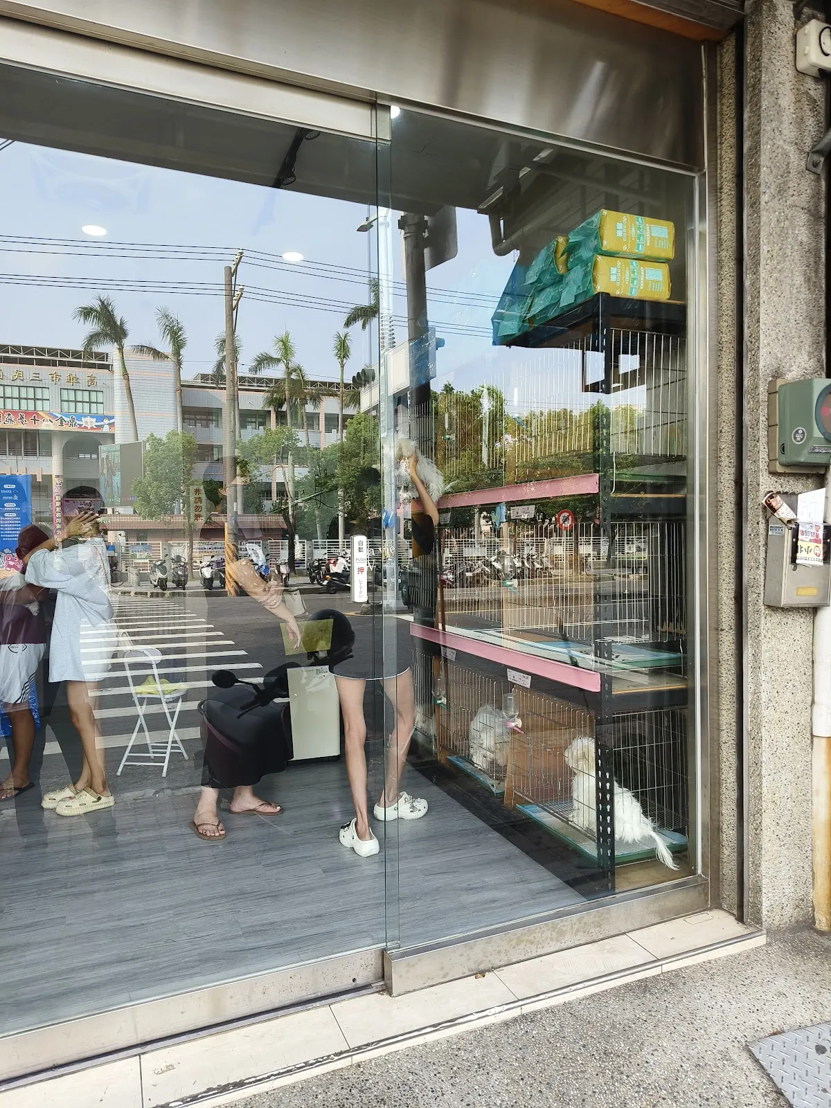 最推薦幼犬專賣