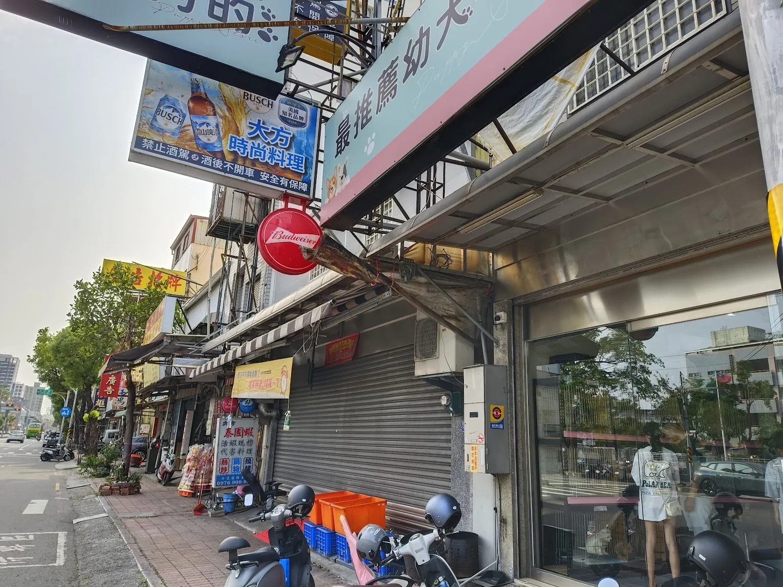 最推薦幼犬專賣