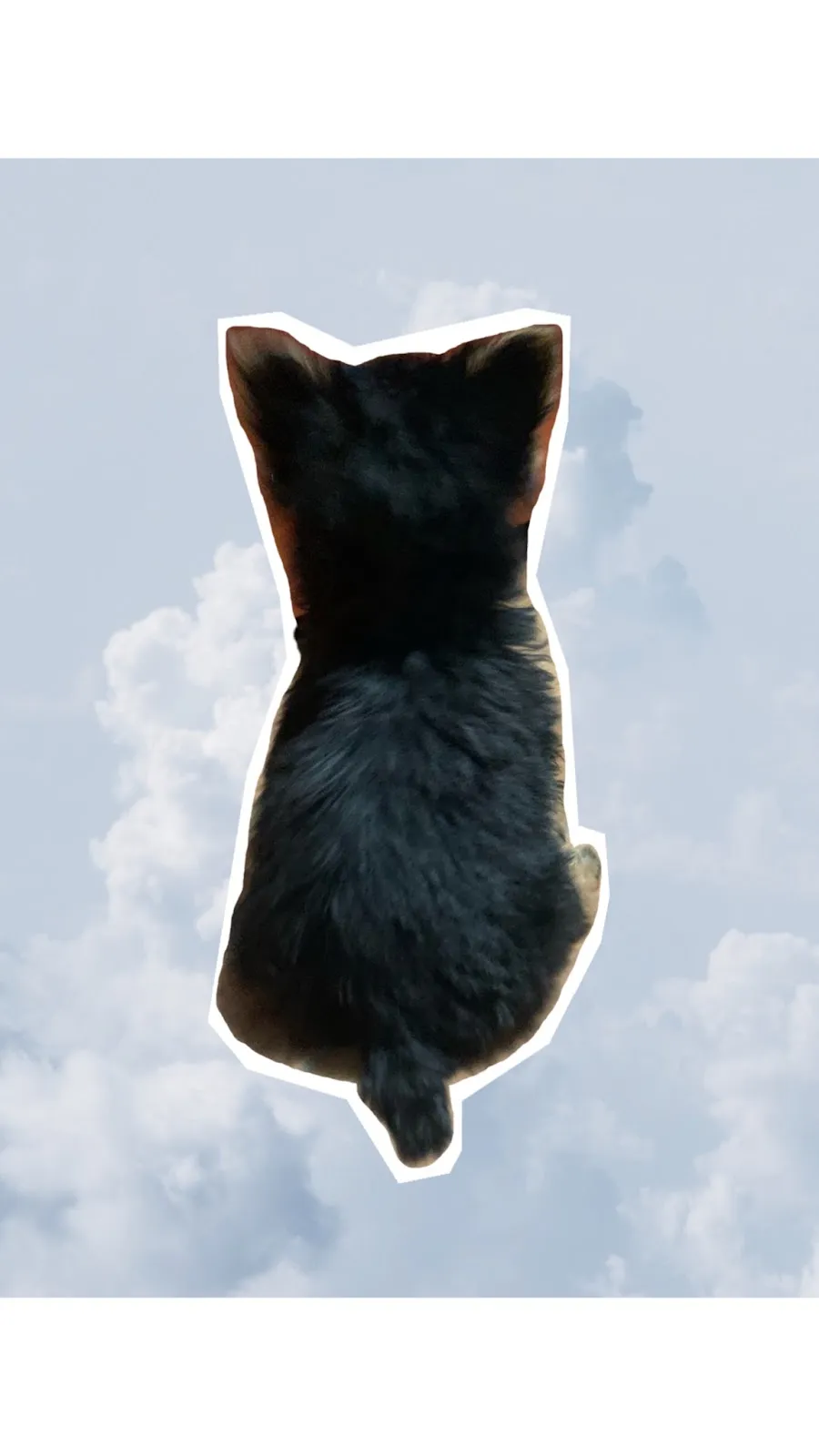 來電狗寵物水族館