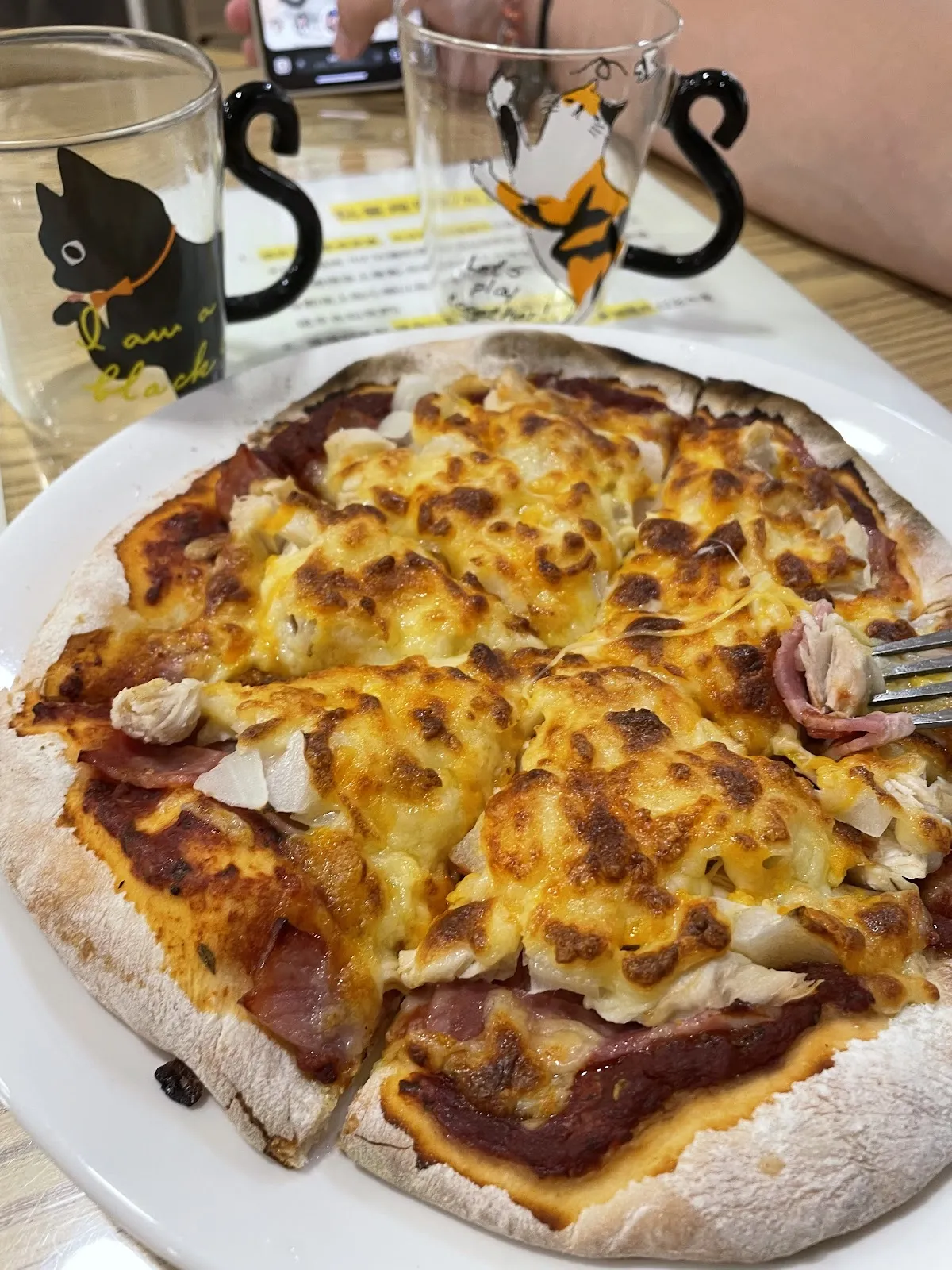 姑蘇城外擼貓室