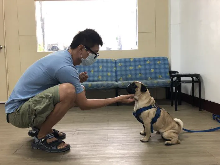 寶育愛犬訓練場