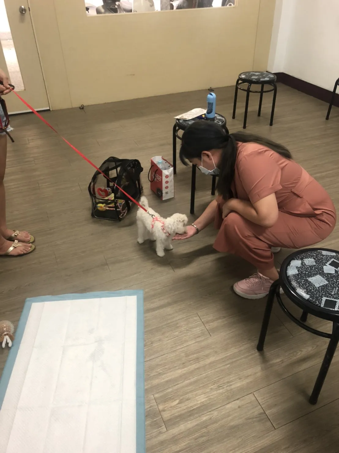 寶育愛犬訓練場