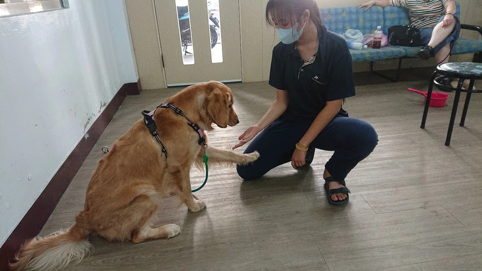 寶育愛犬訓練場