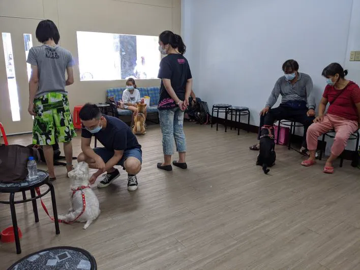 寶育愛犬訓練場