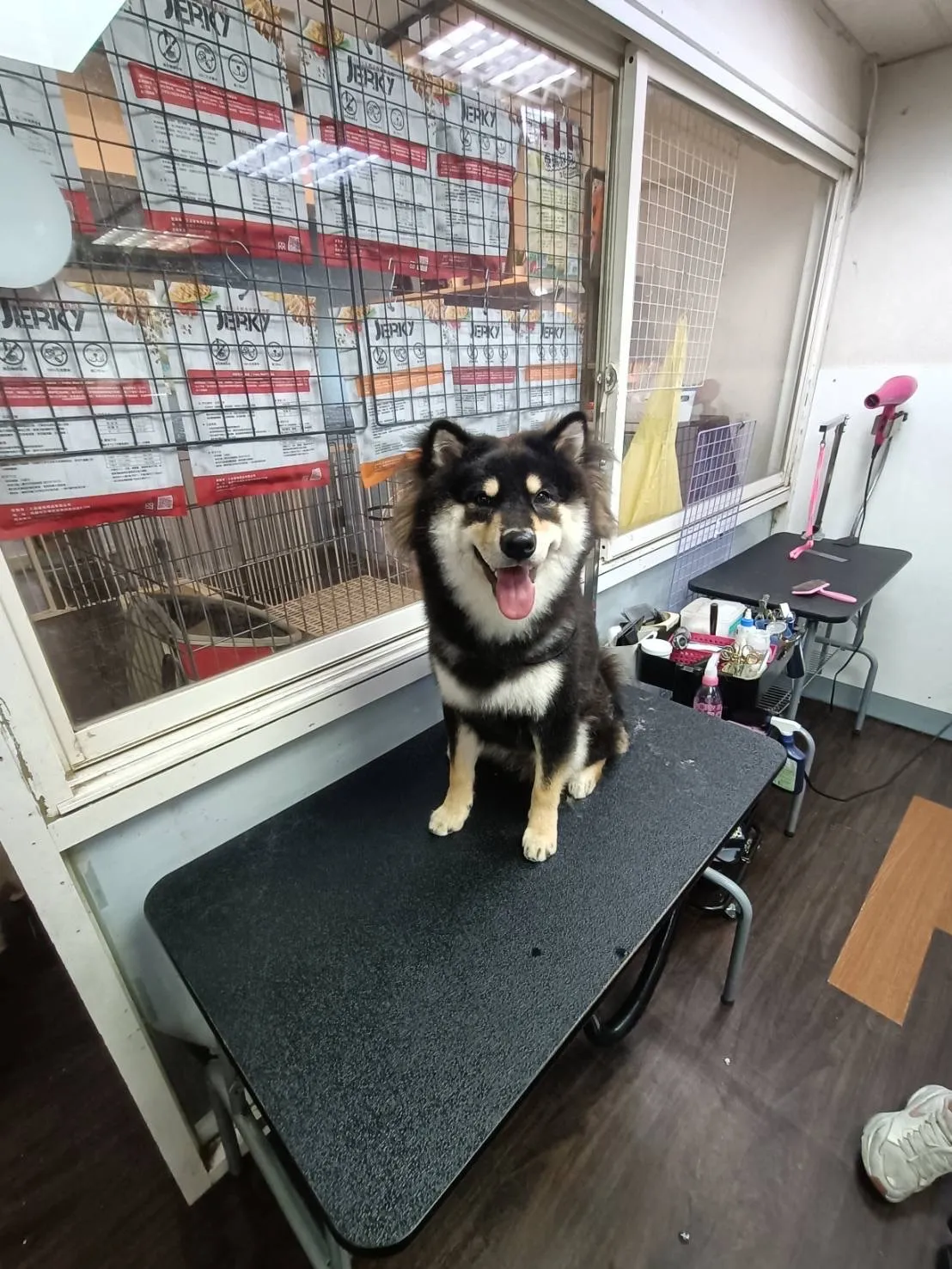 滴塔寵物美容館