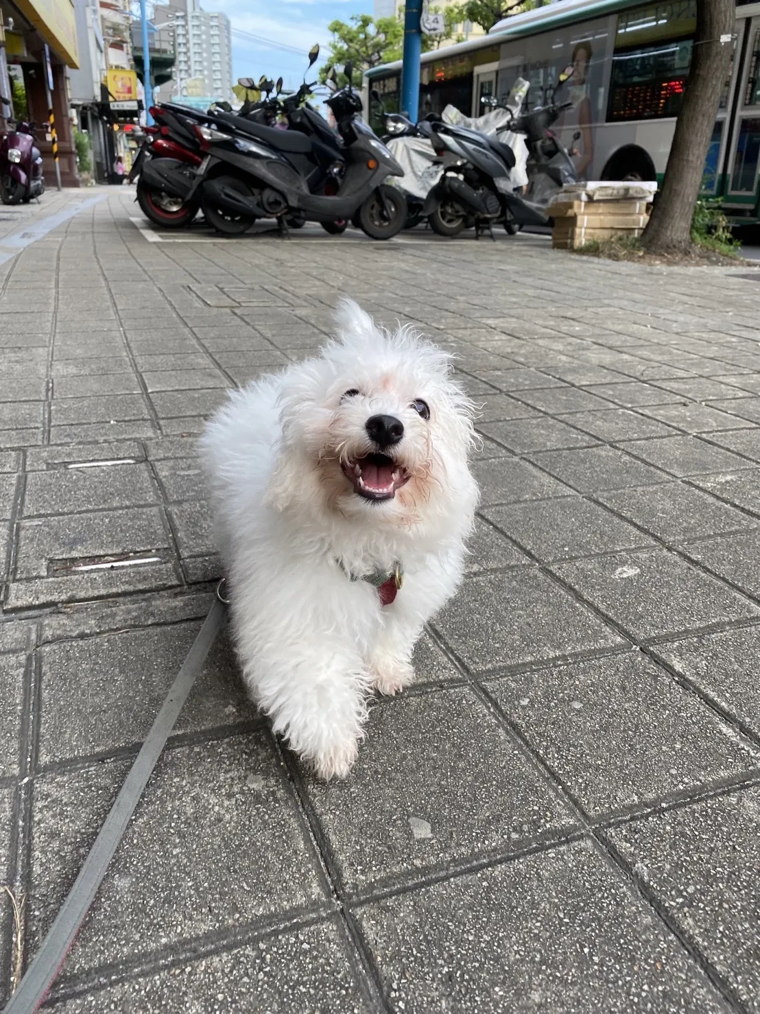 麻糬阿木工作室