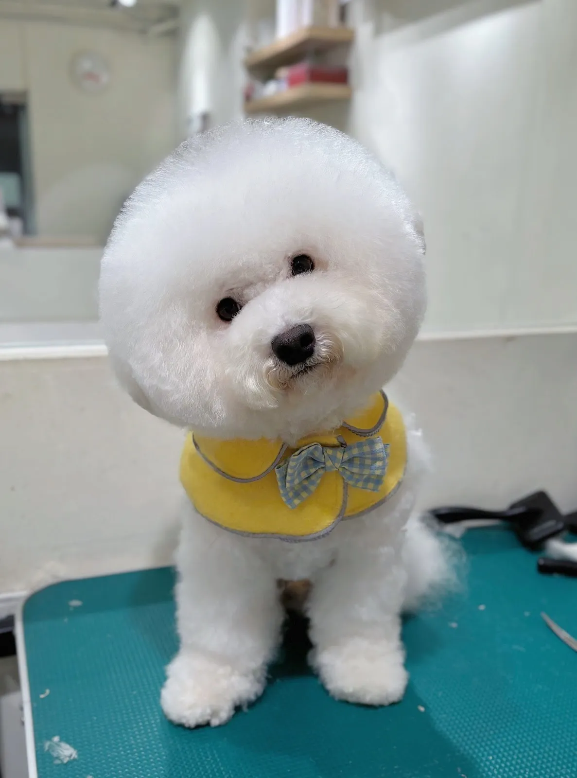 麻糬阿木工作室