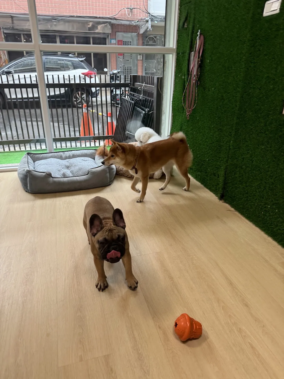 麻糬阿木工作室