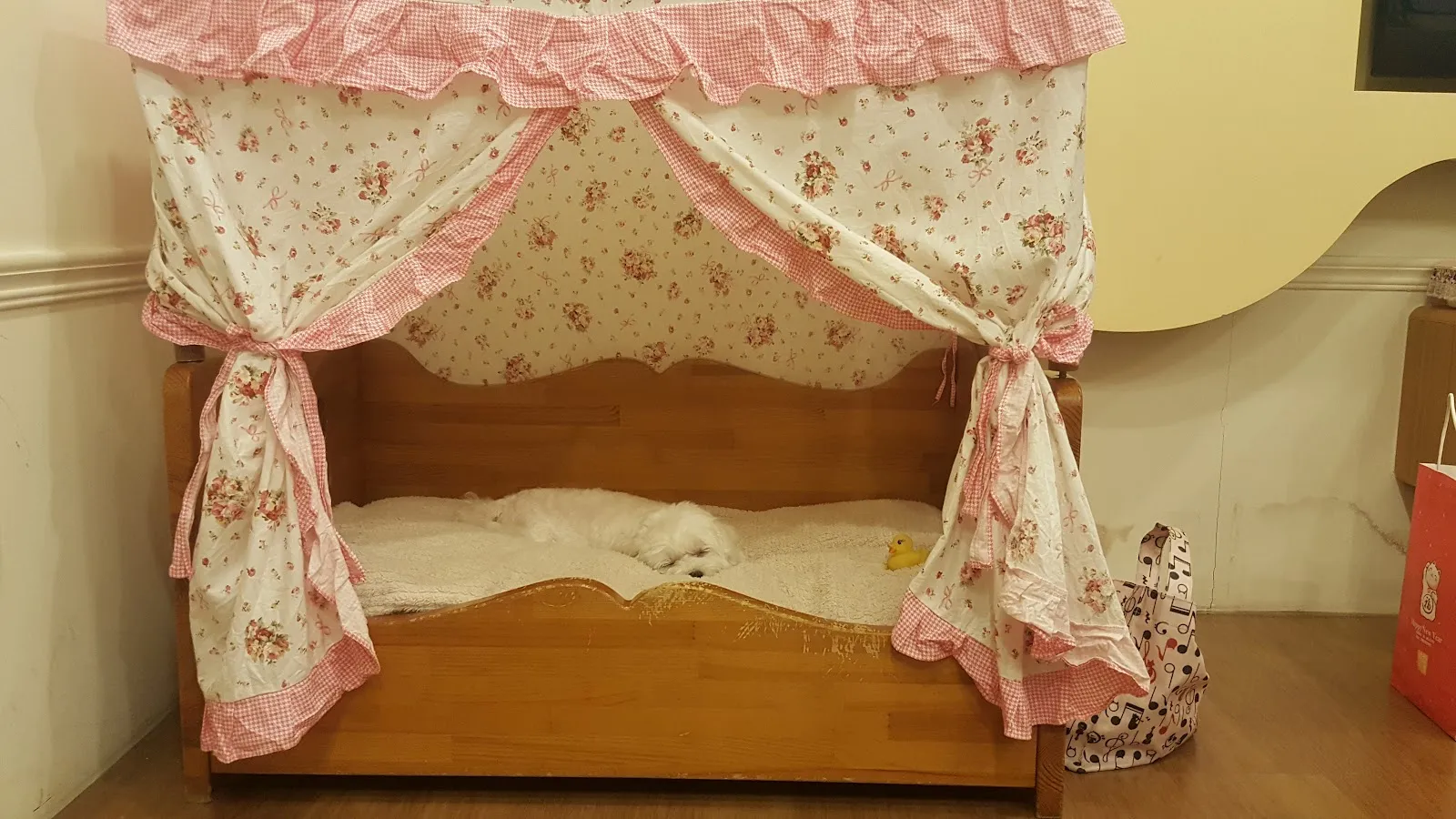 可愛狗寵物精品