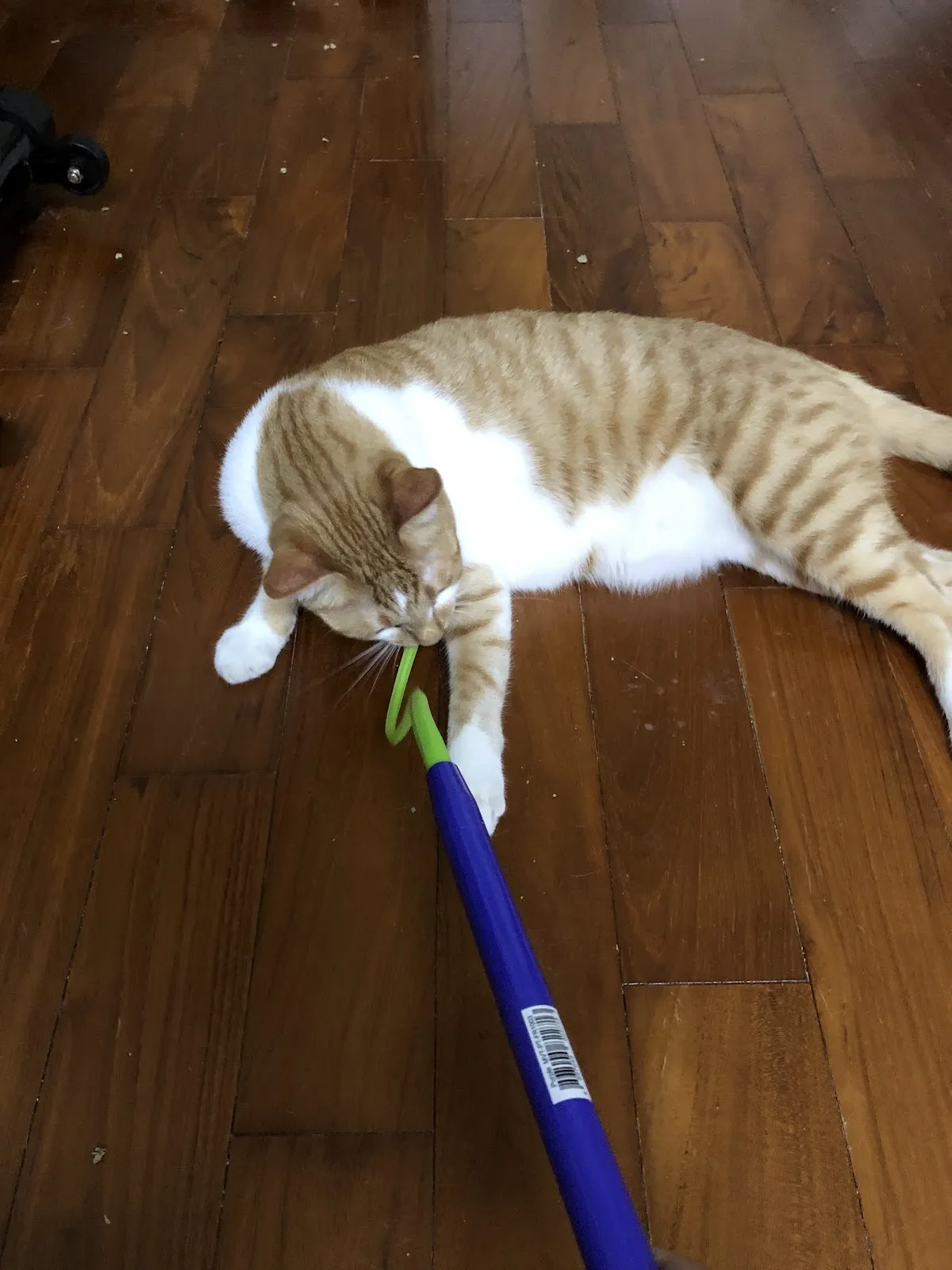 東森寵物雲股份有限公司南投草屯分公司