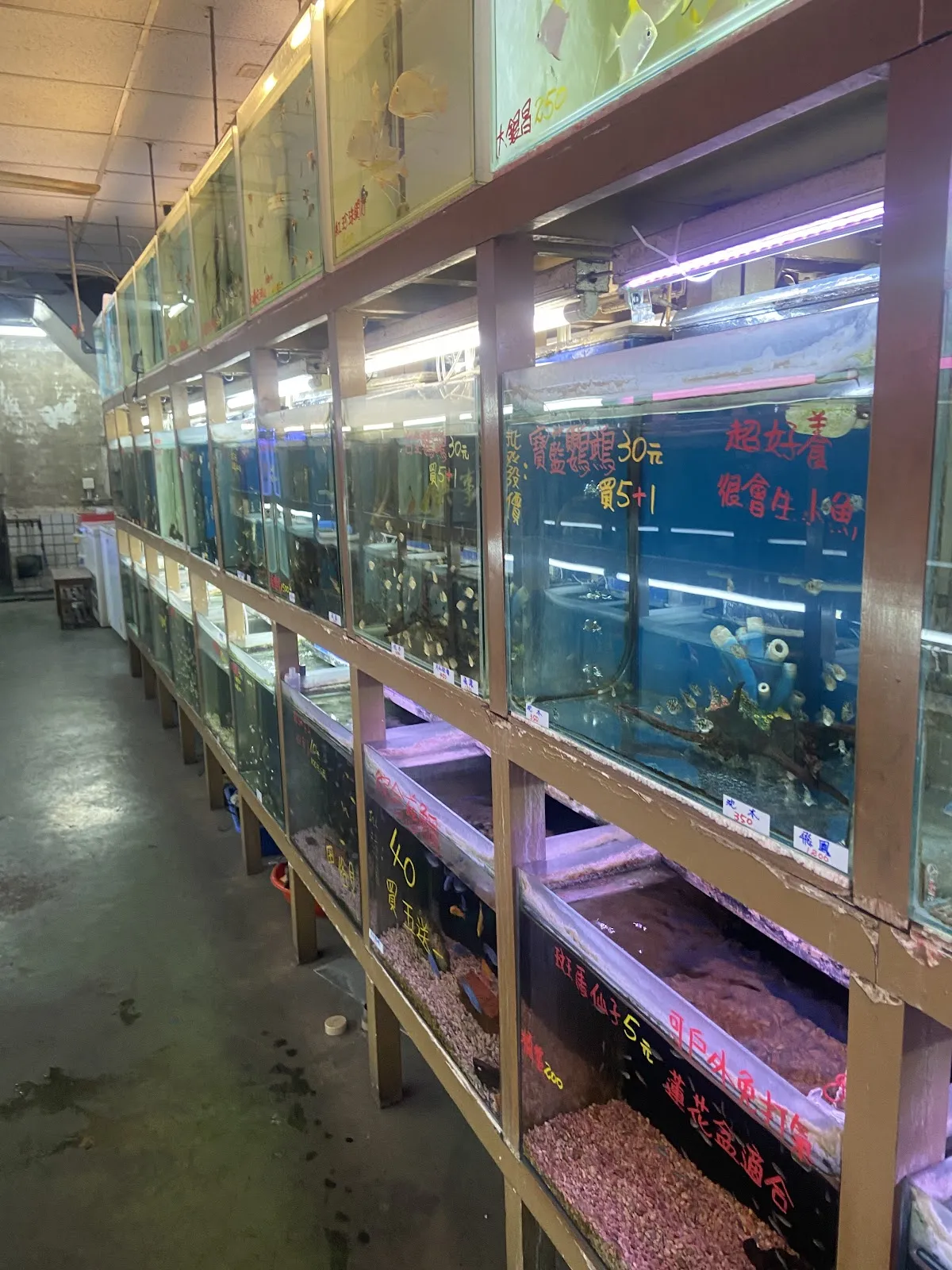 大員林水族館