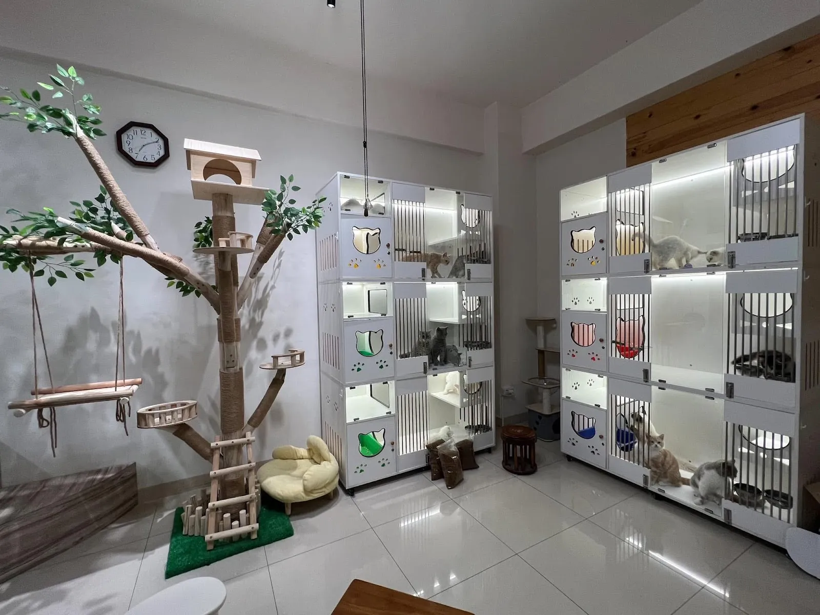 寵愛家妃寵物生活館