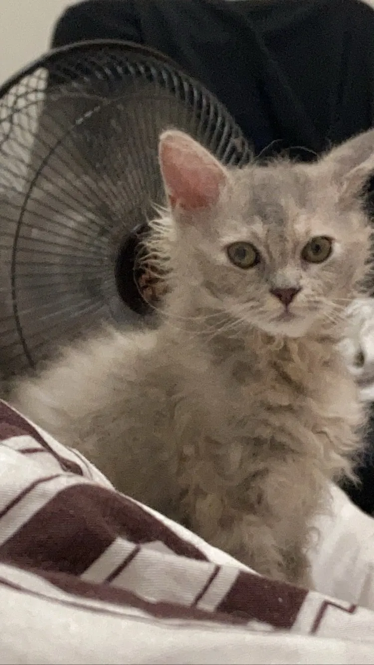 寵愛家妃寵物生活館