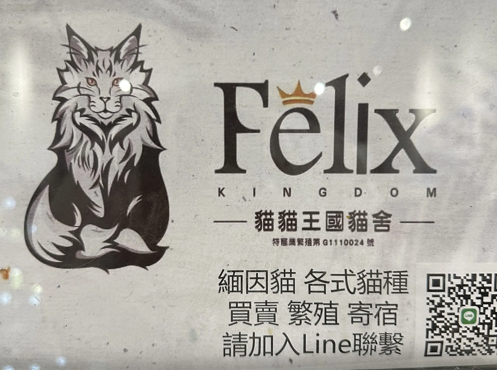 麥得望村上貓舍