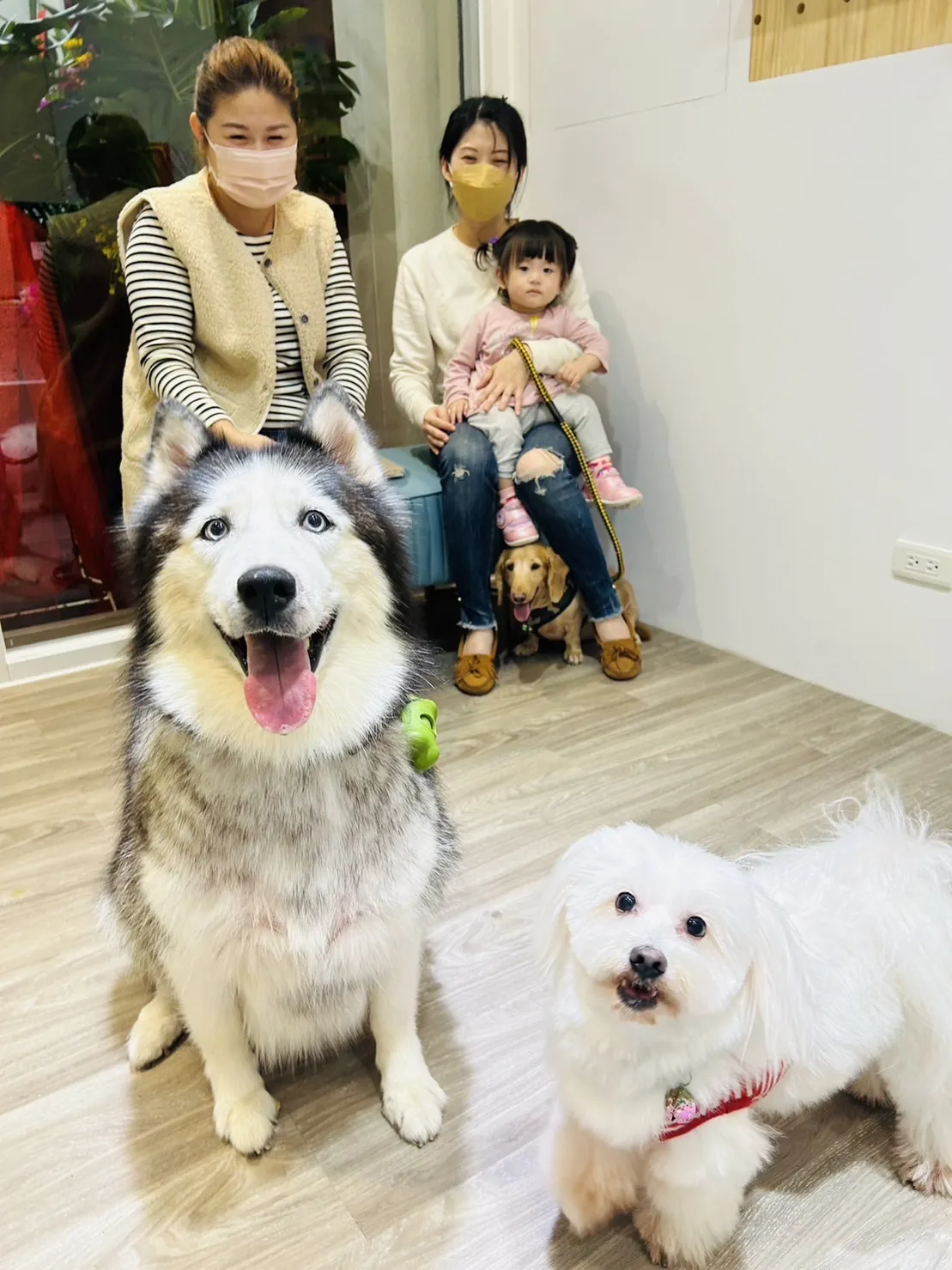 艾米樂寵物美學