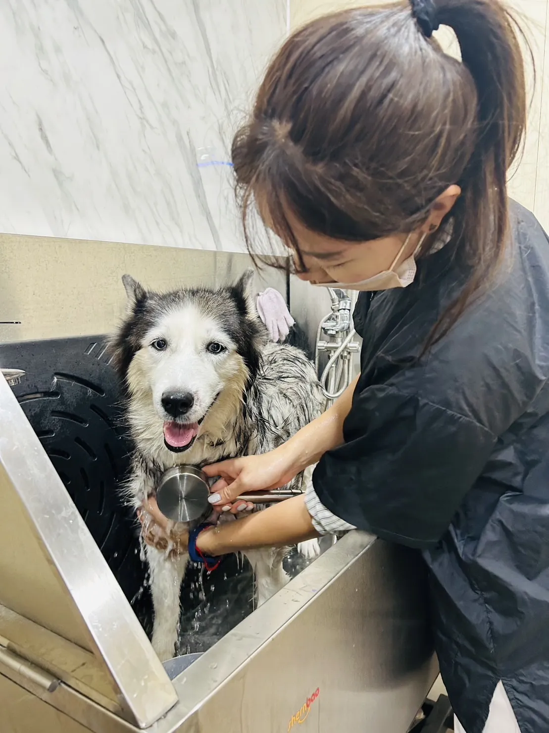 艾米樂寵物美學