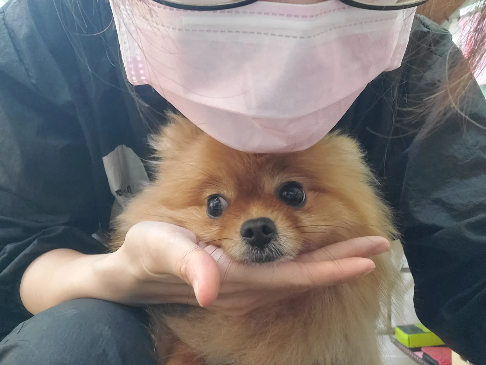 汪汪掀被寵物沙龍