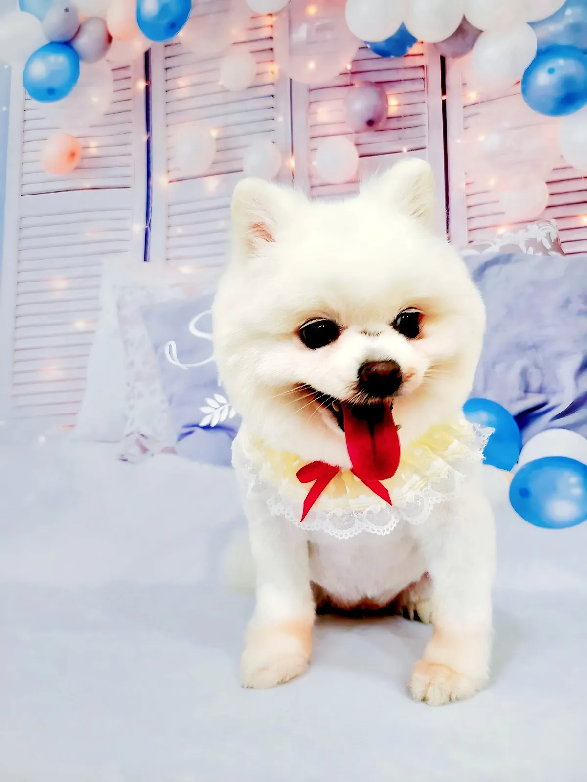 寵愛有家寵物沙龍