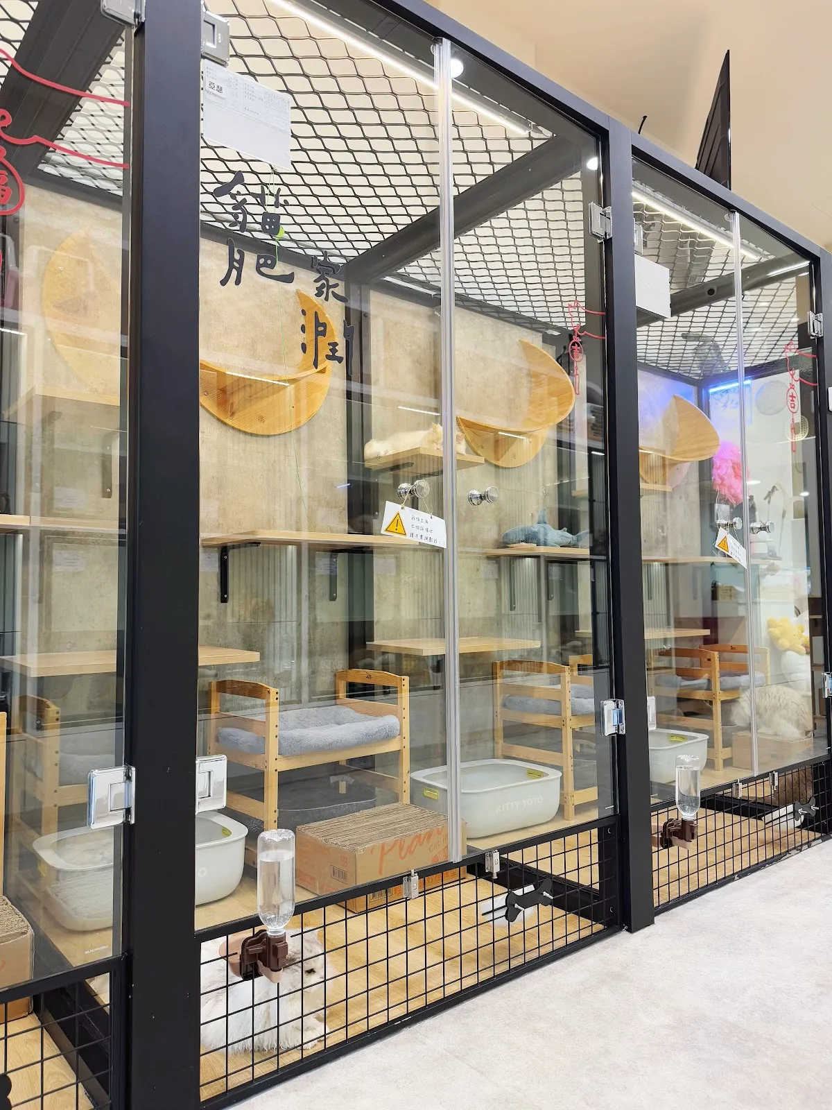 家寶寵物店(貓)