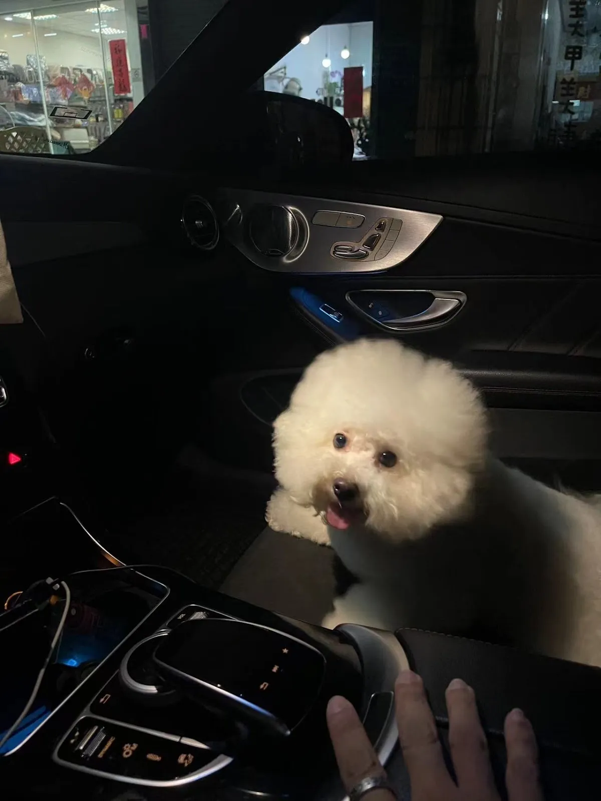 山芙蓉寵物沙龍店