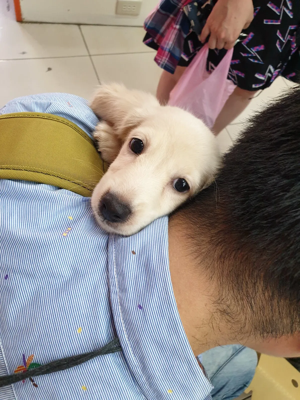 芭芭拉寵物生活館(貓)